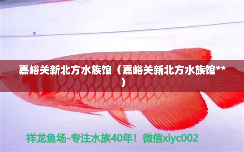 嘉峪关新北方水族馆（嘉峪关新北方水族馆**）