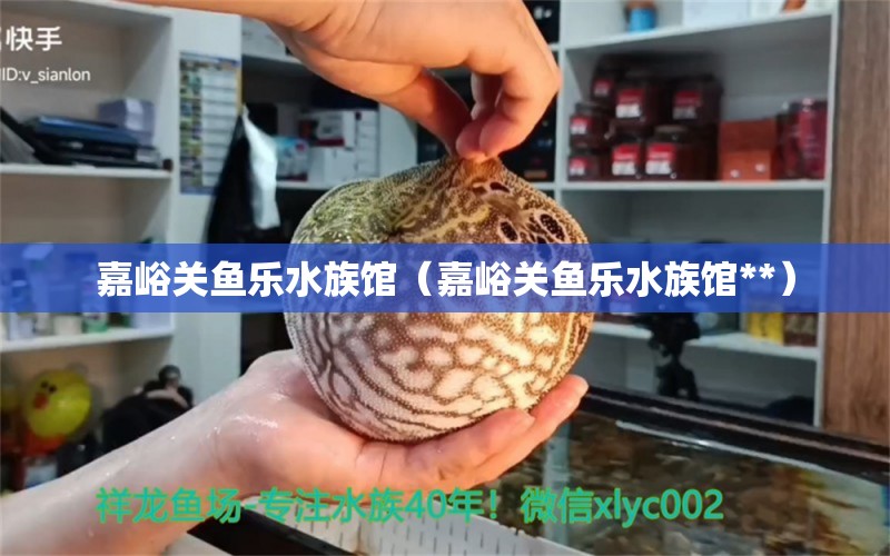 嘉峪关鱼乐水族馆（嘉峪关鱼乐水族馆**）