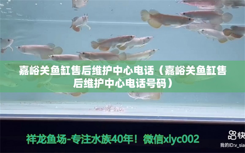 嘉峪关鱼缸售后维护中心电话（嘉峪关鱼缸售后维护中心电话号码） 其他品牌鱼缸