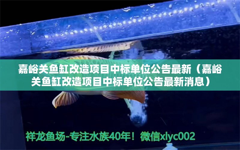 嘉峪关鱼缸改造项目中标单位公告最新（嘉峪关鱼缸改造项目中标单位公告最新消息）