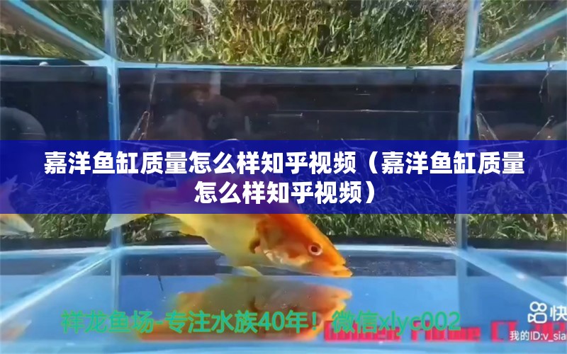 嘉洋鱼缸质量怎么样知乎视频（嘉洋鱼缸质量怎么样知乎视频）