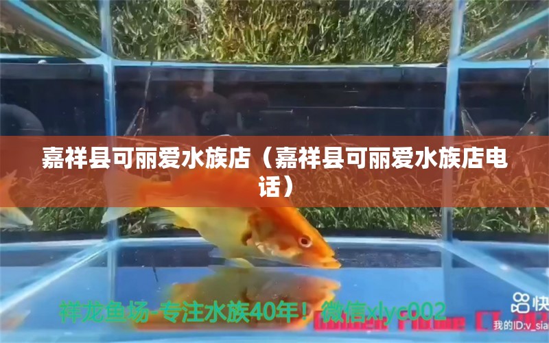 嘉祥县可丽爱水族店（嘉祥县可丽爱水族店电话）