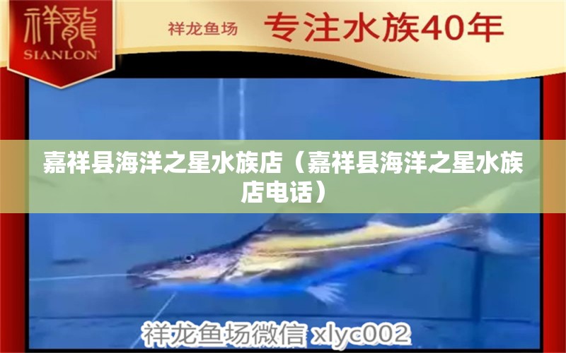 嘉祥县海洋之星水族店（嘉祥县海洋之星水族店电话）