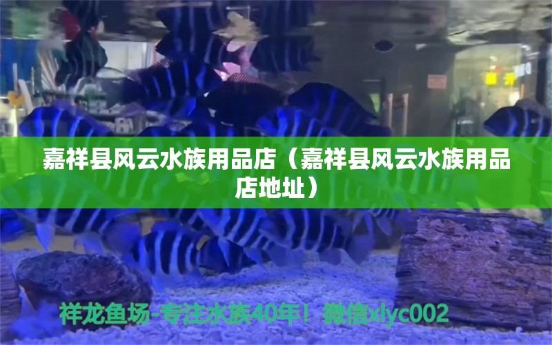 嘉祥县风云水族用品店（嘉祥县风云水族用品店地址）