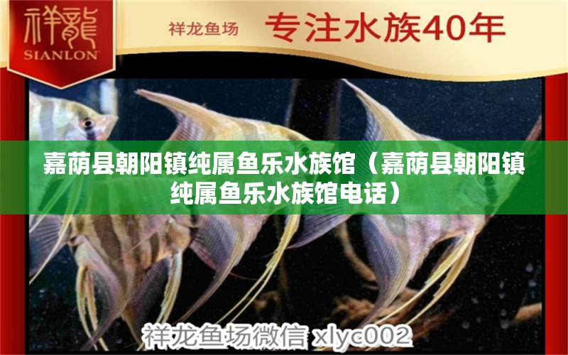 嘉荫县朝阳镇纯属鱼乐水族馆（嘉荫县朝阳镇纯属鱼乐水族馆电话）