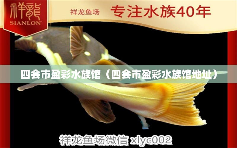 四会市盈彩水族馆（四会市盈彩水族馆地址）