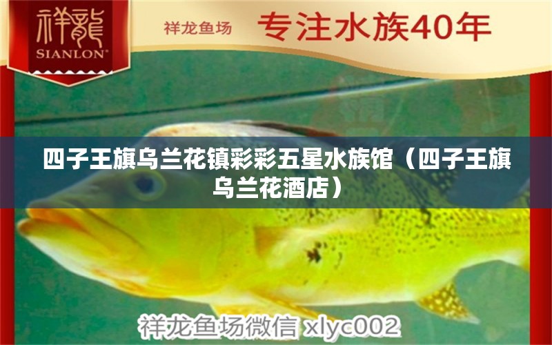 四子王旗乌兰花镇彩彩五星水族馆（四子王旗乌兰花酒店） 全国水族馆企业名录