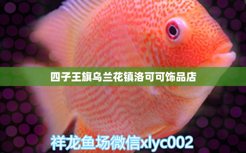 四子王旗乌兰花镇洛可可饰品店 全国水族馆企业名录