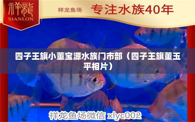 四子王旗小董宝源水族门市部（四子王旗董玉平相片）