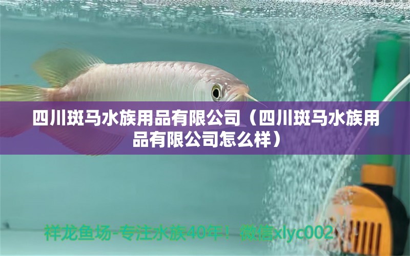 四川斑马水族用品有限公司（四川斑马水族用品有限公司怎么样）