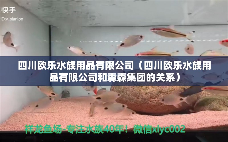 四川欧乐水族用品有限公司（四川欧乐水族用品有限公司和森森集团的关系）