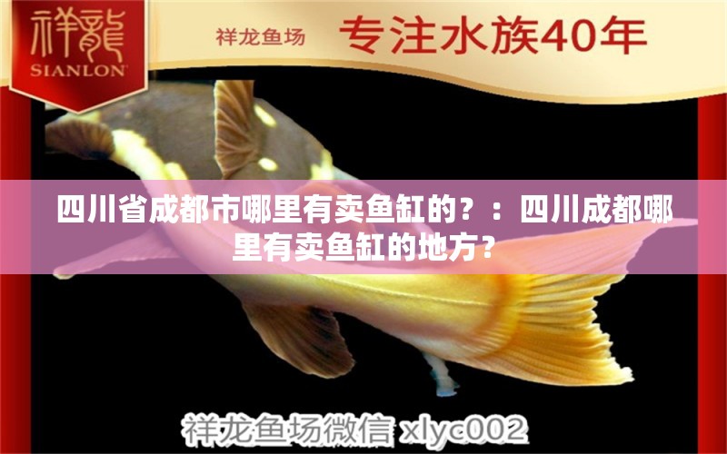 四川省成都市哪里有卖鱼缸的？：四川成都哪里有卖鱼缸的地方？ 鱼缸百科 第2张