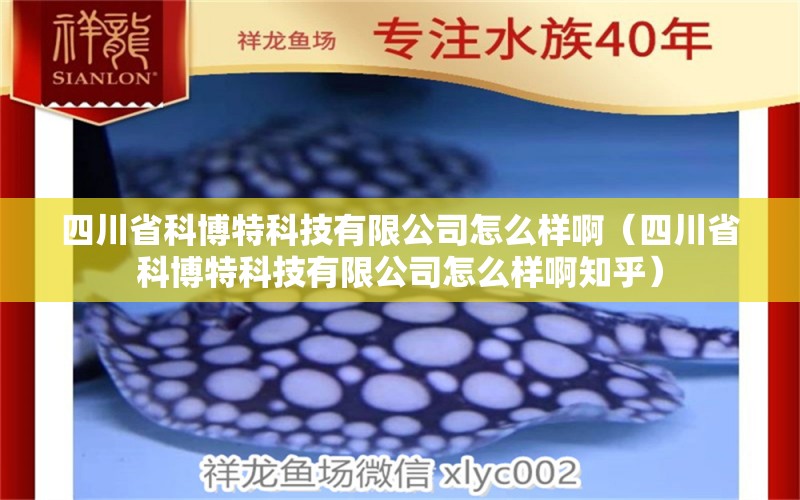 四川省科博特科技有限公司怎么样啊（四川省科博特科技有限公司怎么样啊知乎）