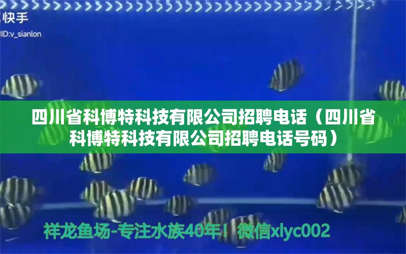 四川省科博特科技有限公司招聘电话（四川省科博特科技有限公司招聘电话号码）