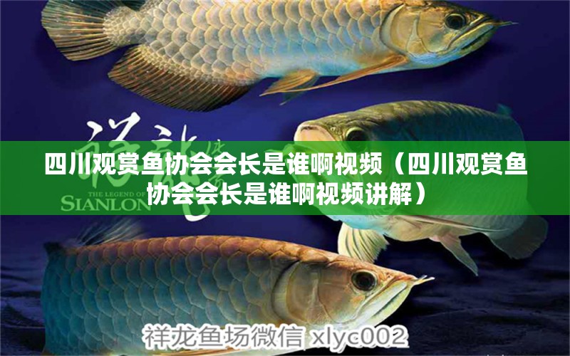 四川观赏鱼协会会长是谁啊视频（四川观赏鱼协会会长是谁啊视频讲解）