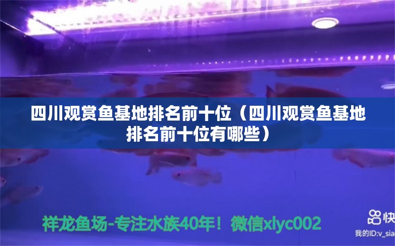 四川观赏鱼基地排名前十位（四川观赏鱼基地排名前十位有哪些） 祥龙水族医院