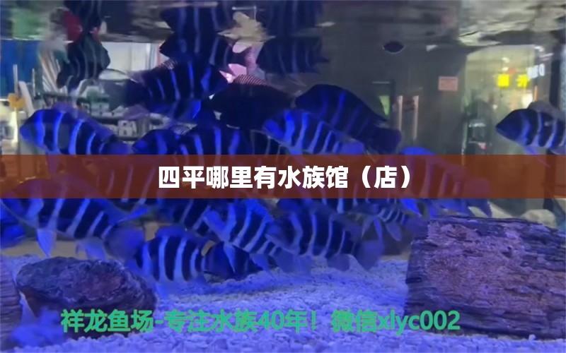 四平哪里有水族馆（店）