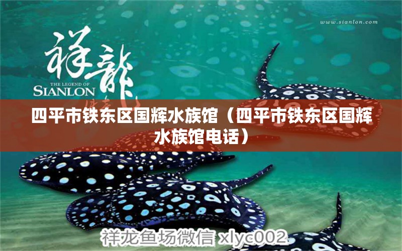 四平市铁东区国辉水族馆（四平市铁东区国辉水族馆电话）