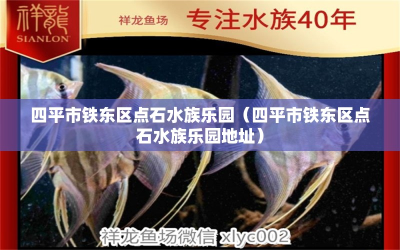 四平市铁东区点石水族乐园（四平市铁东区点石水族乐园地址）