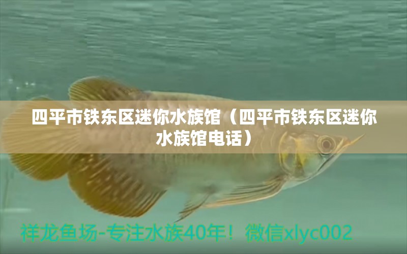 四平市铁东区迷你水族馆（四平市铁东区迷你水族馆电话）