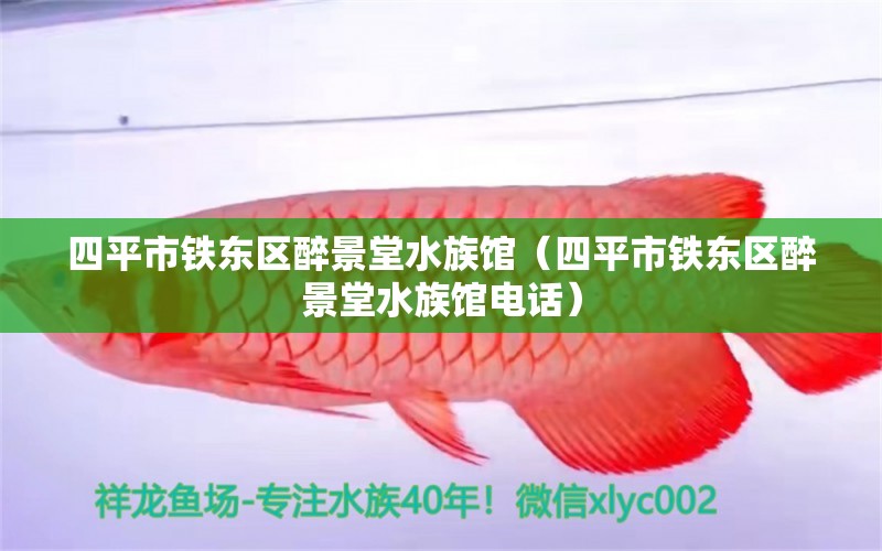 四平市铁东区醉景堂水族馆（四平市铁东区醉景堂水族馆电话） 全国水族馆企业名录