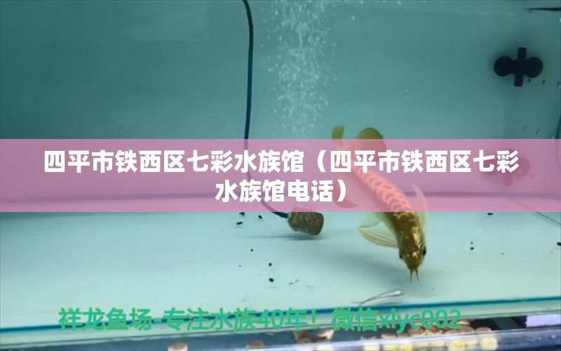 四平市铁西区七彩水族馆（四平市铁西区七彩水族馆电话）