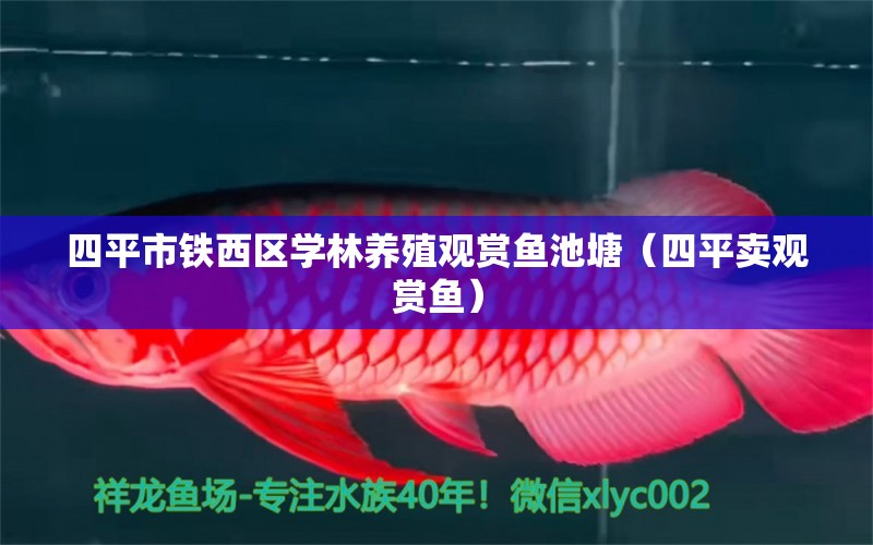 四平市铁西区学林养殖观赏鱼池塘（四平卖观赏鱼） 全国水族馆企业名录