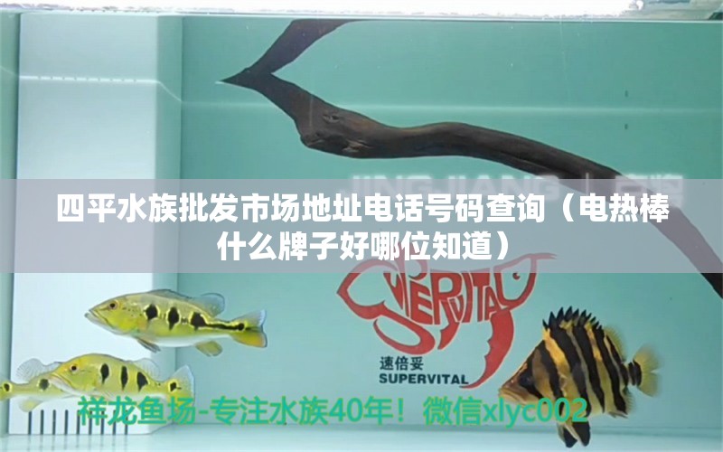 四平水族批发市场地址电话号码查询（电热棒什么牌子好哪位知道）