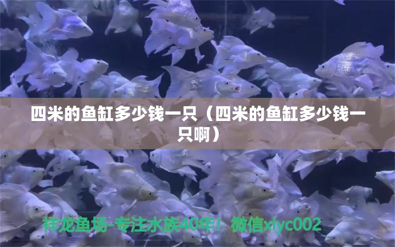 四米的鱼缸多少钱一只（四米的鱼缸多少钱一只啊） 鱼缸百科