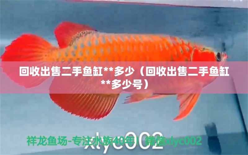 回收出售二手鱼缸**多少（回收出售二手鱼缸**多少号） 祥龙水族医院