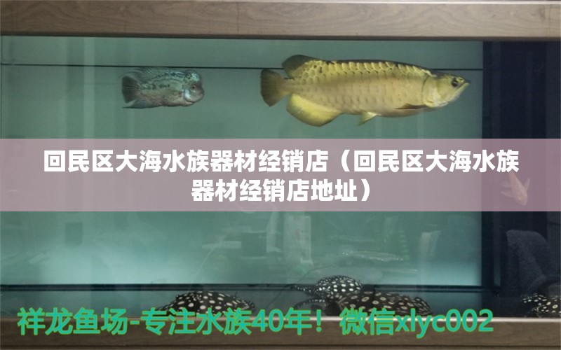 回民区大海水族器材经销店（回民区大海水族器材经销店地址）