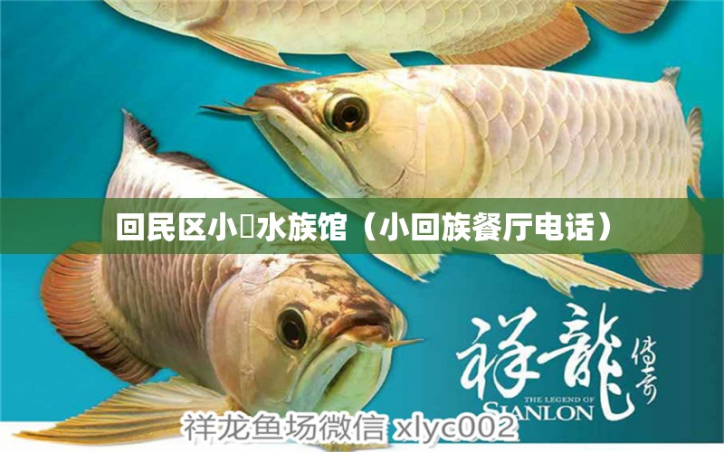 回民区小犇水族馆（小回族餐厅电话）