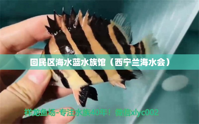 回民区海水蓝水族馆（西宁兰海水会） 全国水族馆企业名录