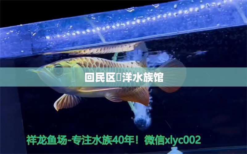 回民区澔洋水族馆