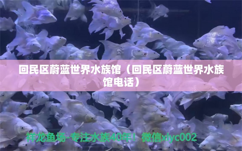 回民区蔚蓝世界水族馆（回民区蔚蓝世界水族馆电话）