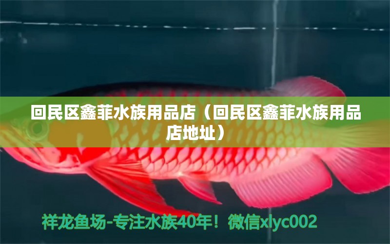 回民区鑫菲水族用品店（回民区鑫菲水族用品店地址）