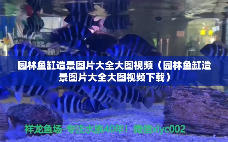 园林鱼缸造景图片大全大图视频（园林鱼缸造景图片大全大图视频下载）