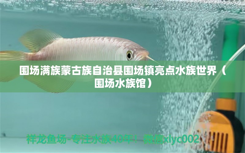 围场满族蒙古族自治县围场镇亮点水族世界（围场水族馆）