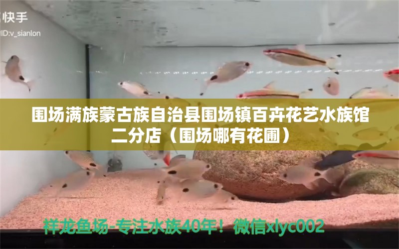 围场满族蒙古族自治县围场镇百卉花艺水族馆二分店（围场哪有花圃）