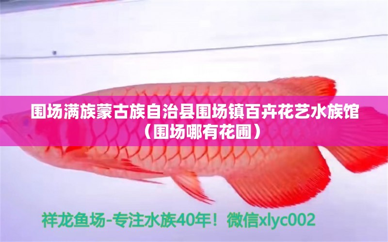 围场满族蒙古族自治县围场镇百卉花艺水族馆（围场哪有花圃）