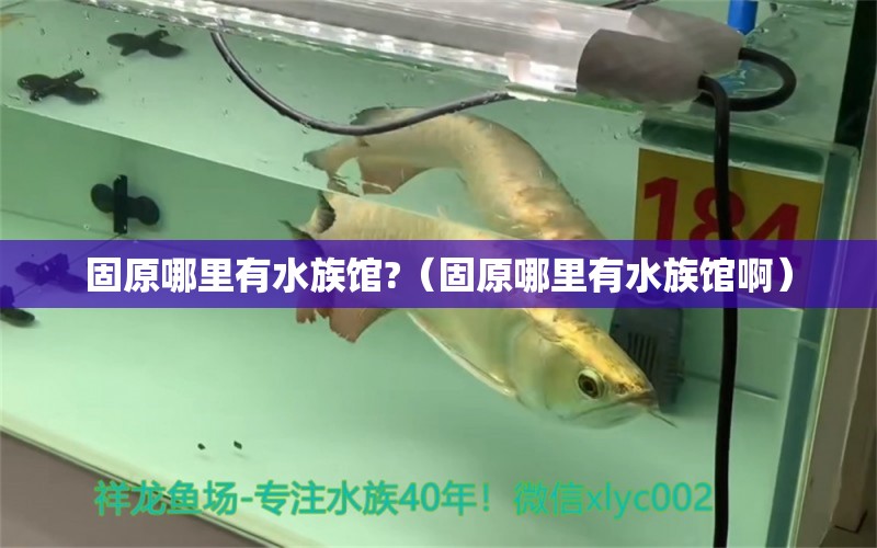 固原哪里有水族馆?（固原哪里有水族馆啊）