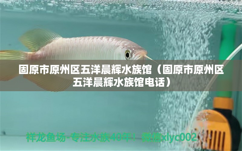 固原市原州区五洋晨辉水族馆（固原市原州区五洋晨辉水族馆电话）