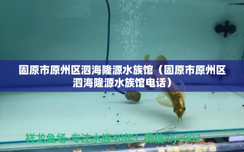 固原市原州区泗海隆源水族馆（固原市原州区泗海隆源水族馆电话）