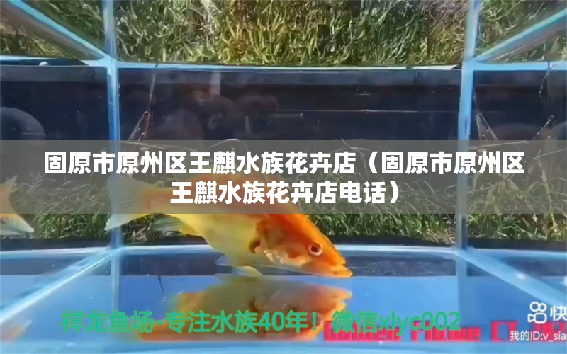 固原市原州区王麒水族花卉店（固原市原州区王麒水族花卉店电话） 全国水族馆企业名录