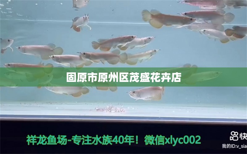 固原市原州区茂盛花卉店 全国水族馆企业名录