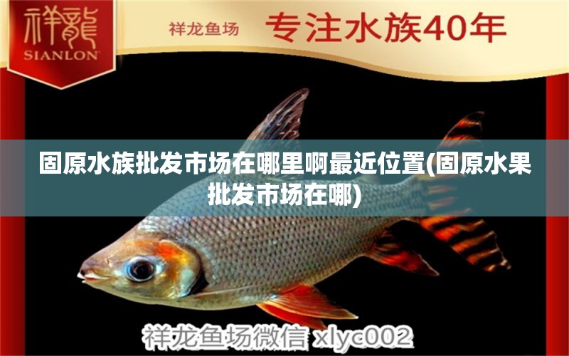 固原水族批发市场在哪里啊最近位置(固原水果批发市场在哪) 观赏鱼水族批发市场