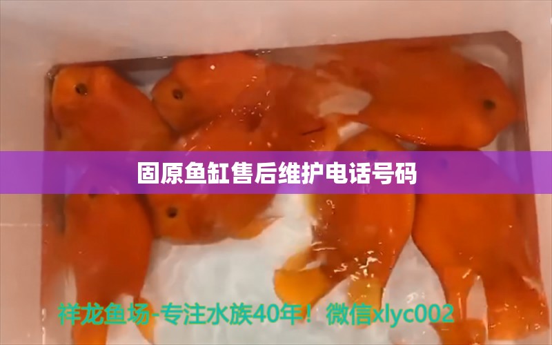 固原鱼缸售后维护电话号码