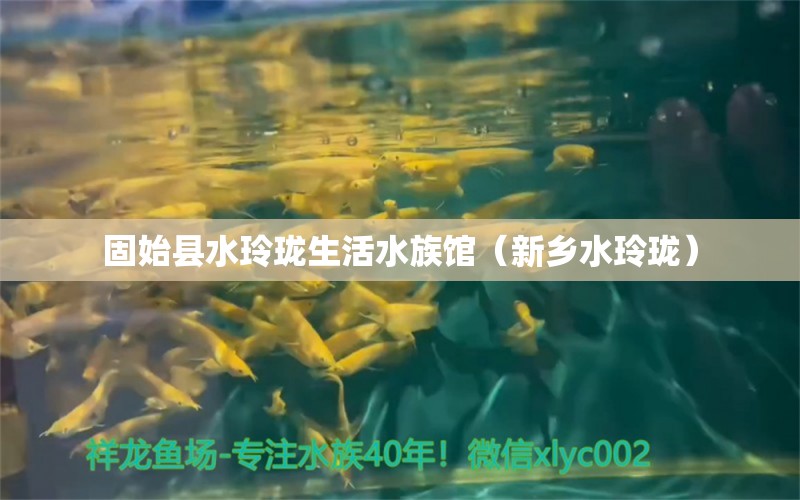 固始县水玲珑生活水族馆（新乡水玲珑）