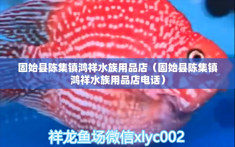 固始县陈集镇鸿祥水族用品店（固始县陈集镇鸿祥水族用品店电话）