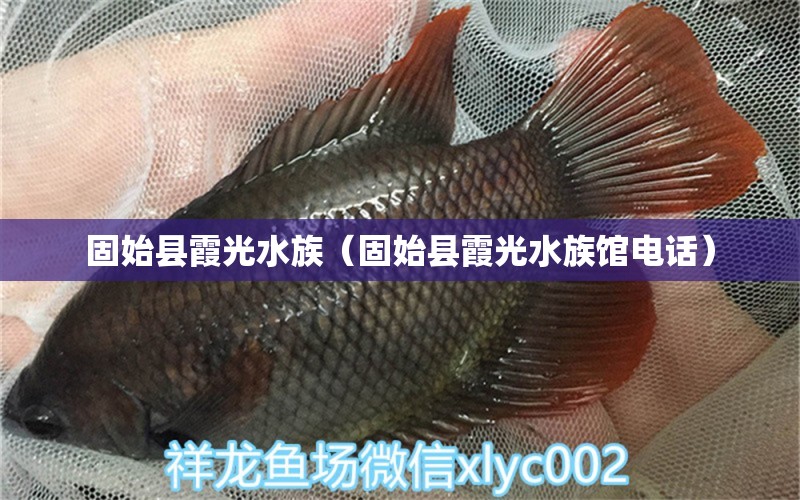 固始县霞光水族（固始县霞光水族馆电话） 全国水族馆企业名录